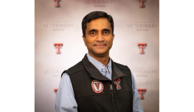 USDA Funds Texas Tech Vet School Study on Prebiotics and Maternal Health