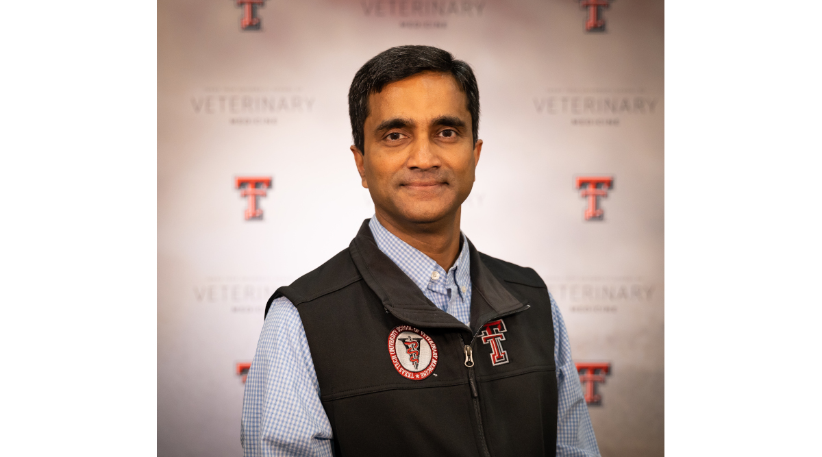 USDA Funds Texas Tech Vet School Study on Prebiotics and Maternal Health