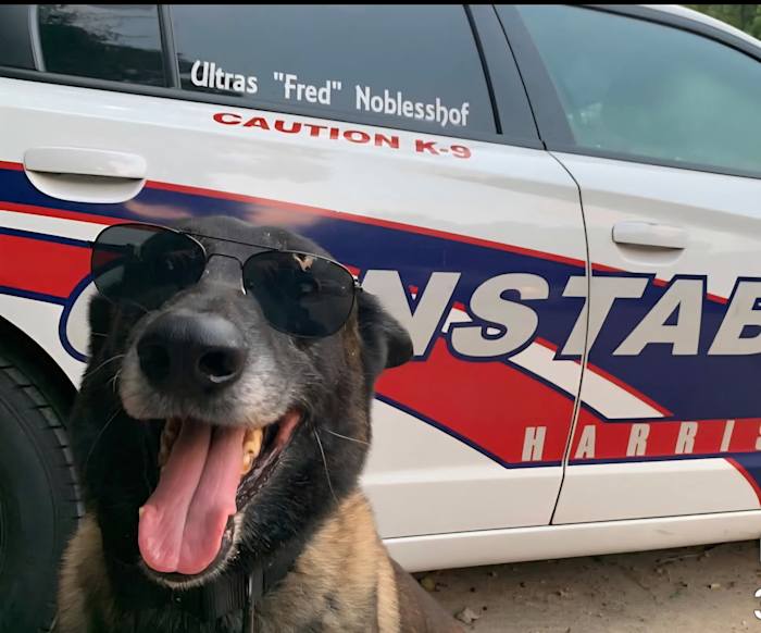 ‘Your watch has ended’: Precinct 4 deputies mourn loss of retired K9 Ultras