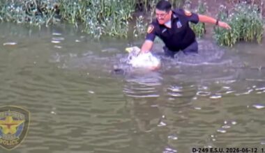 Police rescue boy who nearly drowned in river