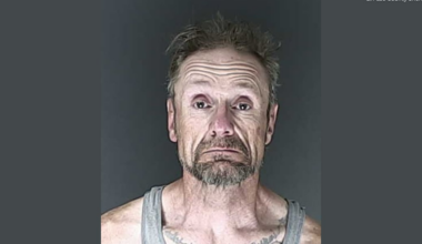 El Paso County K9 assists deputies with narcotics arrest at traffic stop