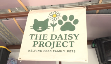 Mother turns daughter’s dream into reality, serving struggling families through pet pantry