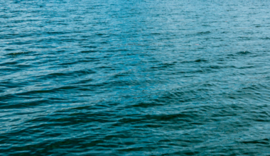 Search for missing man at Benbrook Lake slowed by high winds, rough water, officials say