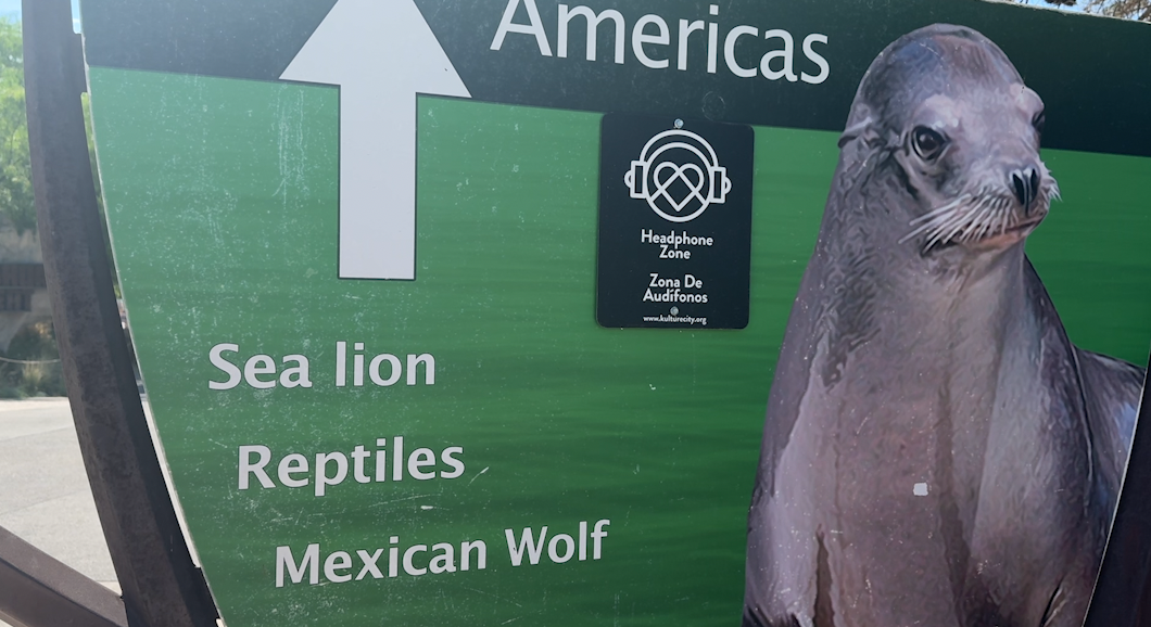 Birthday party postponed for El Paso Zoo's Sea Lions