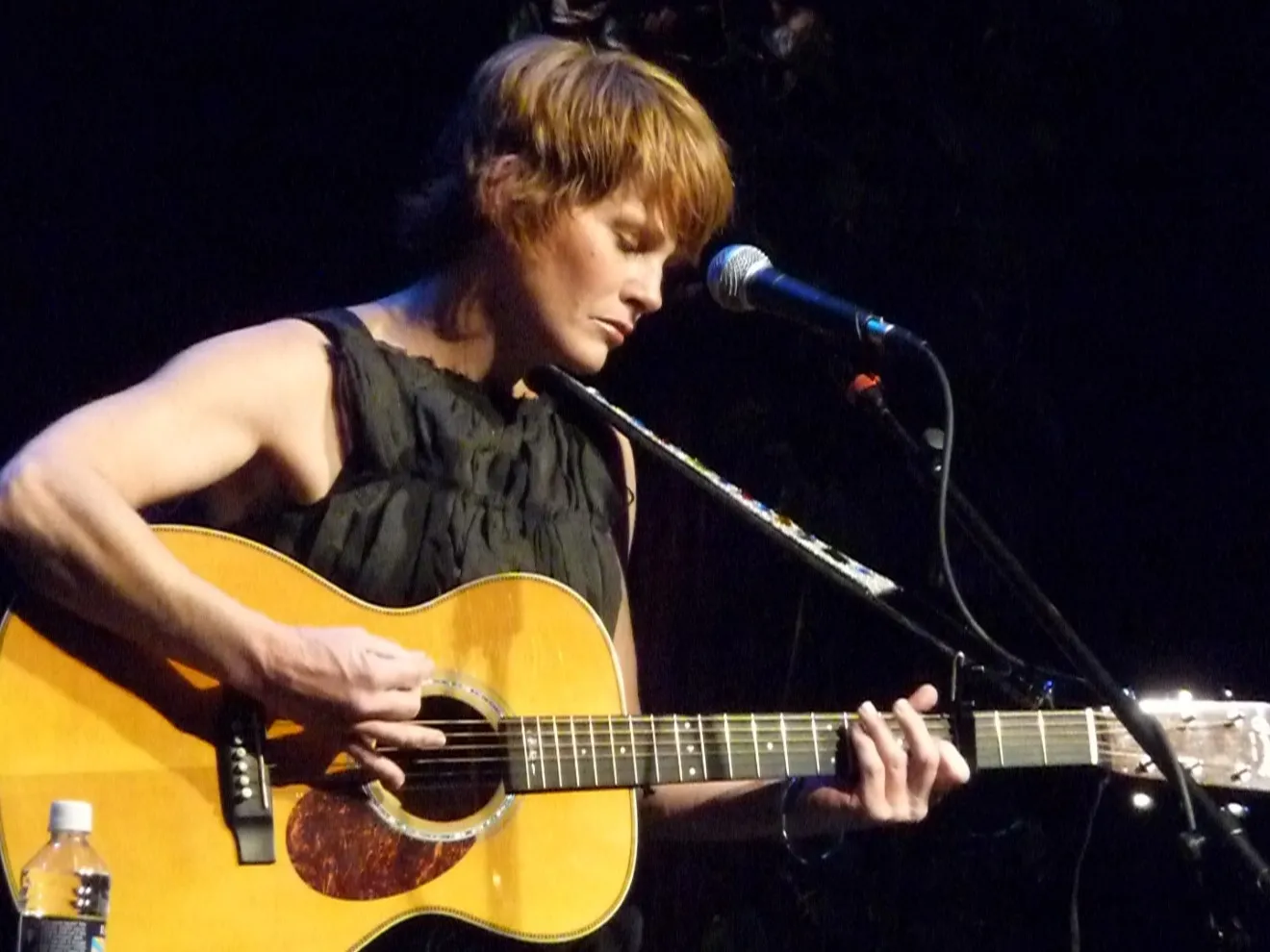 Houston Concert Watch 6/3: Shawn Colvin, Jim Lauderdale and More
