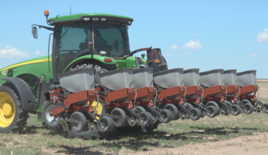 South Plains cotton farmer: Futures, forecast offer hope after difficult years