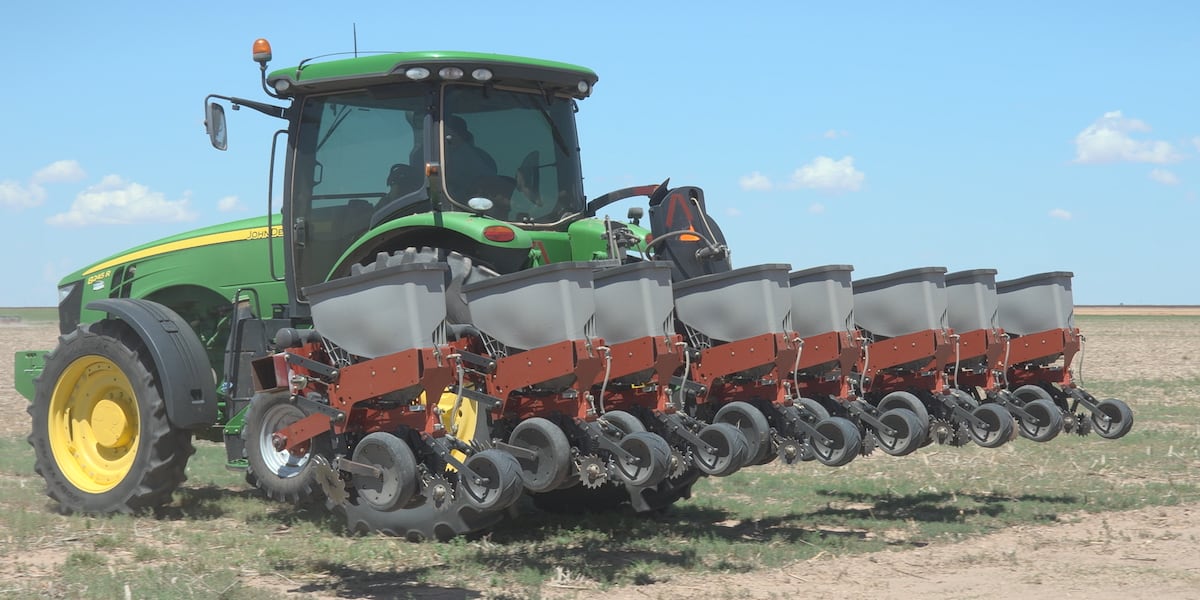 South Plains cotton farmer: Futures, forecast offer hope after difficult years