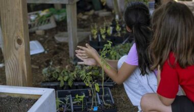 How Cherokee farming traditions are transforming one Texas school