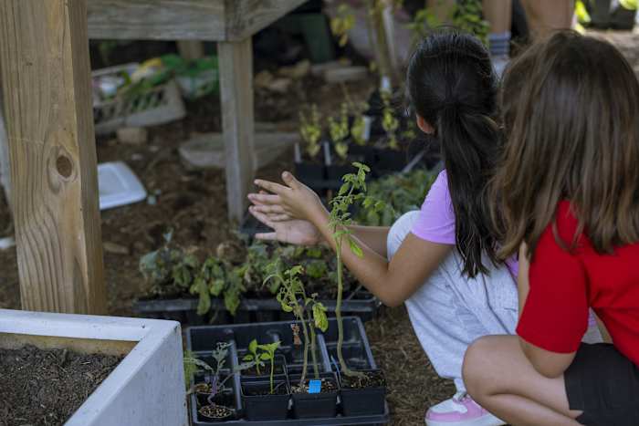 How Cherokee farming traditions are transforming one Texas school
