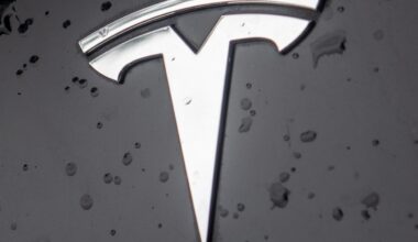 Tesla on autopilot kills 76-year-old woman in Texas home crash