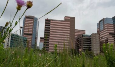 Texas Children's Hospital Medical Center