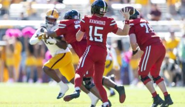 No Brendan Sorsby, no problem? Why Texas Tech is confident in Will Hammond
