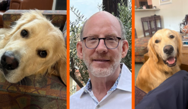 Houston man fosters 7 golden retrievers while healing from Parkinson's disease