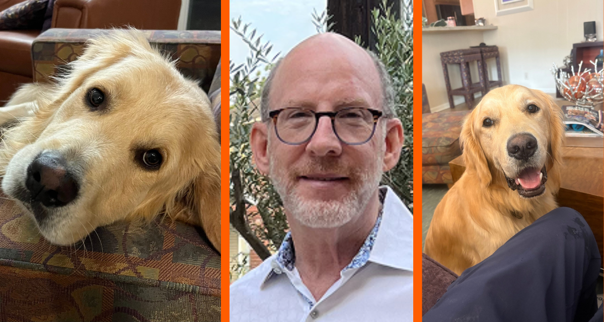 Houston man fosters 7 golden retrievers while healing from Parkinson's disease