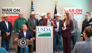 Texas A&M Regent John Bellinger to lead fight against New World screwworm