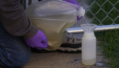 Sewage samples could help track pathogens, surveil illness during World Cup