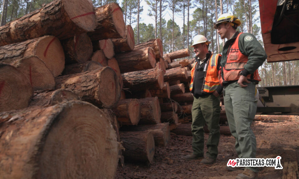 Texas A&M Forest Service works alongside the U.S. Forest Service through the Good Neighbor Authority
