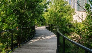 7 Fun Things to Do in Austin This Weekend: June 4-7