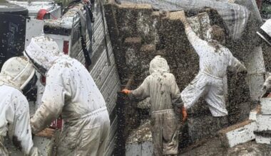 Millions of bees escape after a semi carrying hives overturns in Southeast Texas