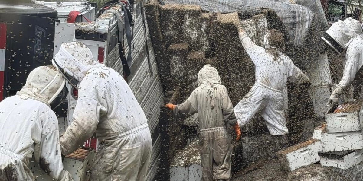 Millions of bees escape after a semi carrying hives overturns in Southeast Texas