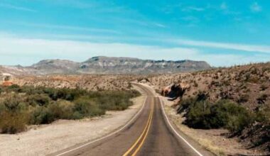 No. 6 best summer road trip destination in U.S. is Texas