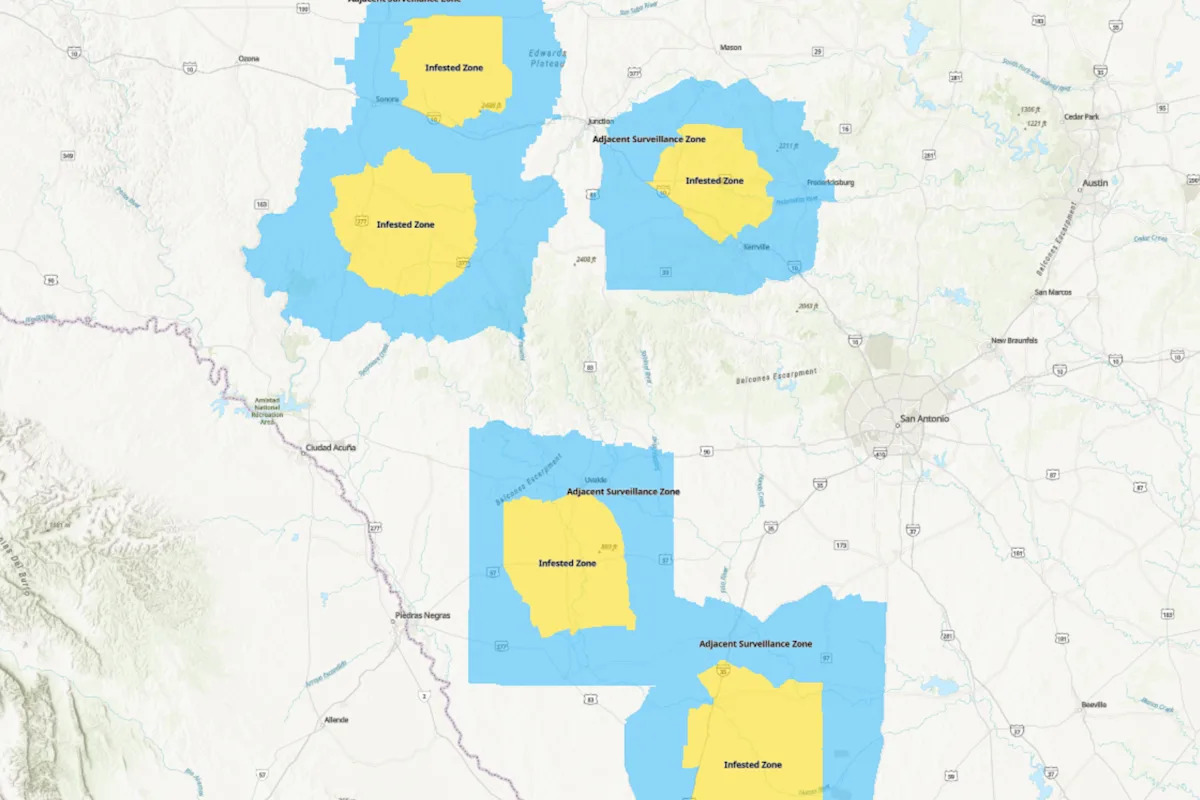 Screwworm map shows 'infested zones' in Texas as 12th case reported