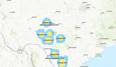 New World Screwworm continues to spread in Texas as US hits 15 cases
