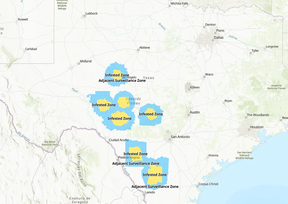 A screenshot of the Texas Animal Health Commission New World screwworm quarantine zone map on June 22, 2026.