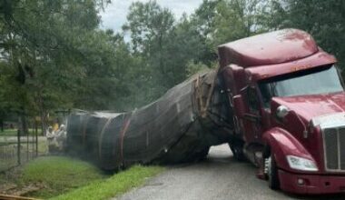 Millions of bees get loose after truck carrying 400 hives crashes in Texas: "Please remain indoors"