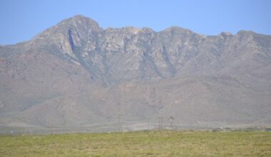 What Solutions Could Reduce Illegal Dumping In El Paso Parks?