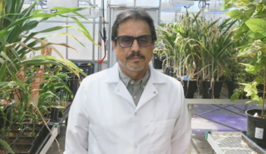 Texas Tech Professor Achieves Historic Royal Society Fellowship