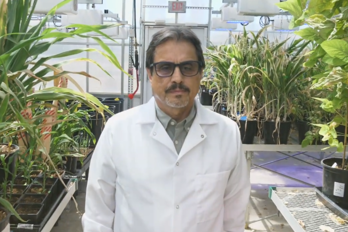 Texas Tech Professor Achieves Historic Royal Society Fellowship