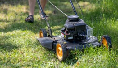 The Coolest and Most Powerful Summer Jobs For Teens in Lubbock
