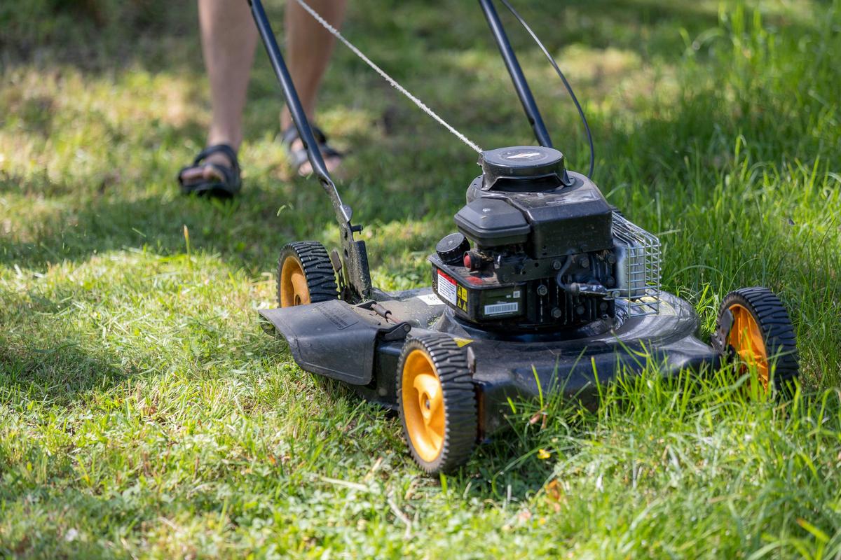 The Coolest and Most Powerful Summer Jobs For Teens in Lubbock