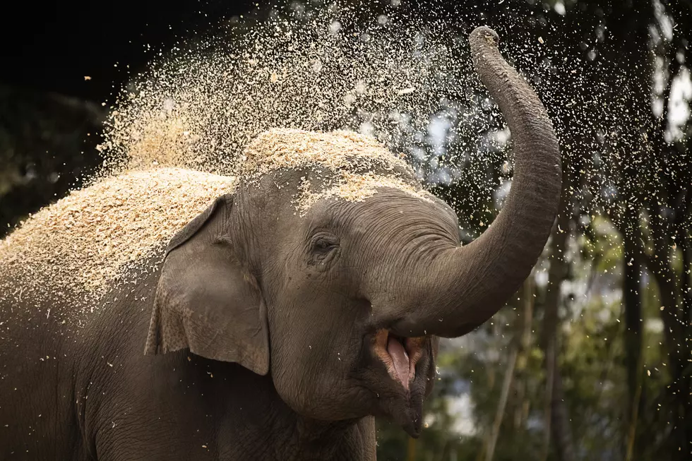 Jenny Evans, Getty Images