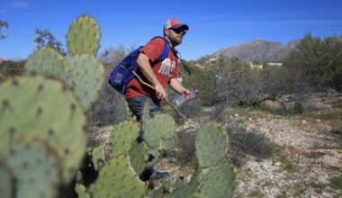 Why Staying Alert While Hiking In El Paso Matters