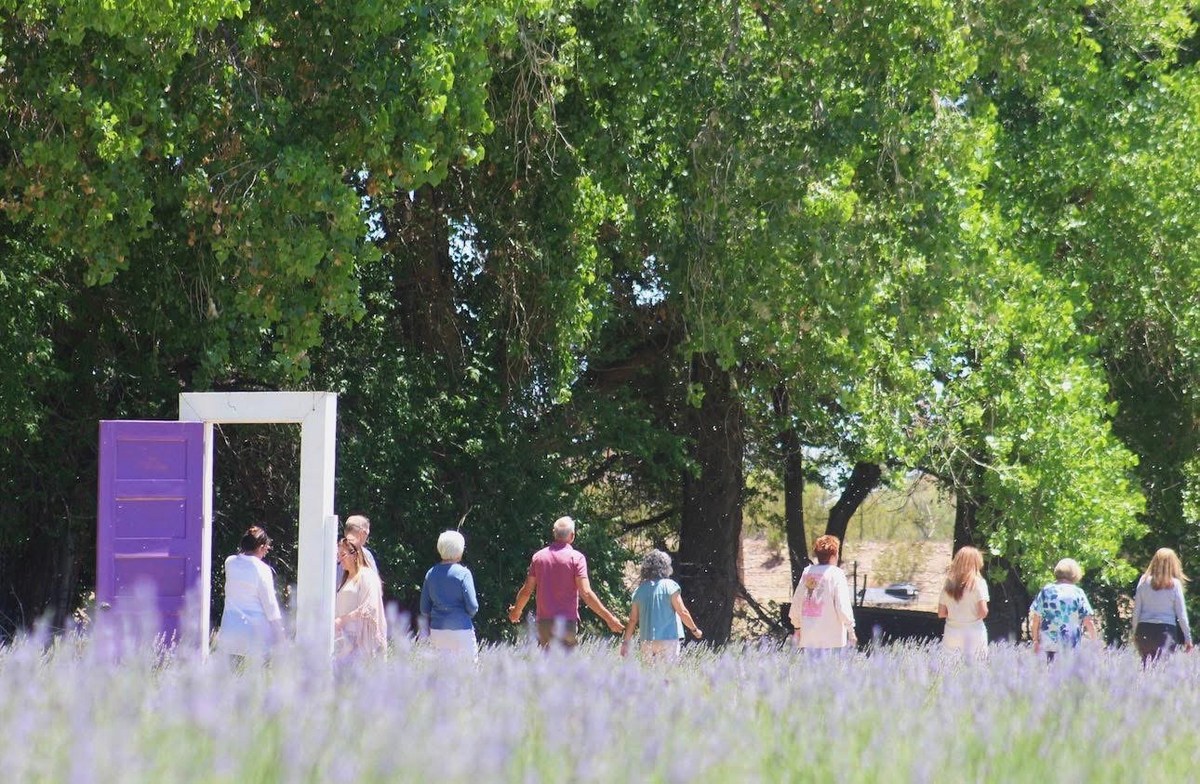 This Dreamy Lavender Farm Is Only 2 Hours From El Paso