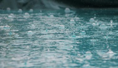 Lubbock's Heavy Rainfall: Are We Prepared For More Flooding?