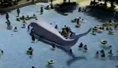 Wet N' Wild Just Gave El Paso the Throwback It Needed