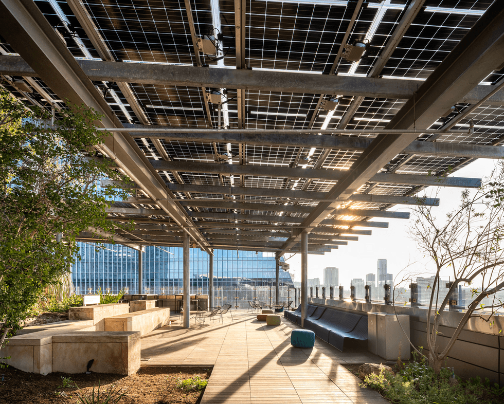 Austin Central Library rooftop garden