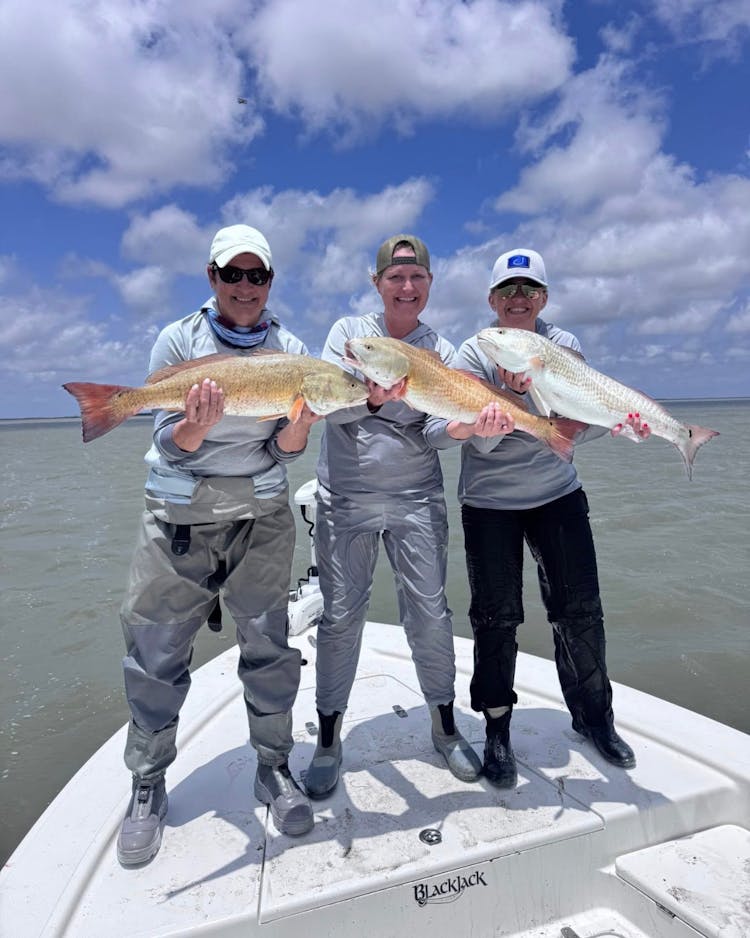 Babes on the Bay