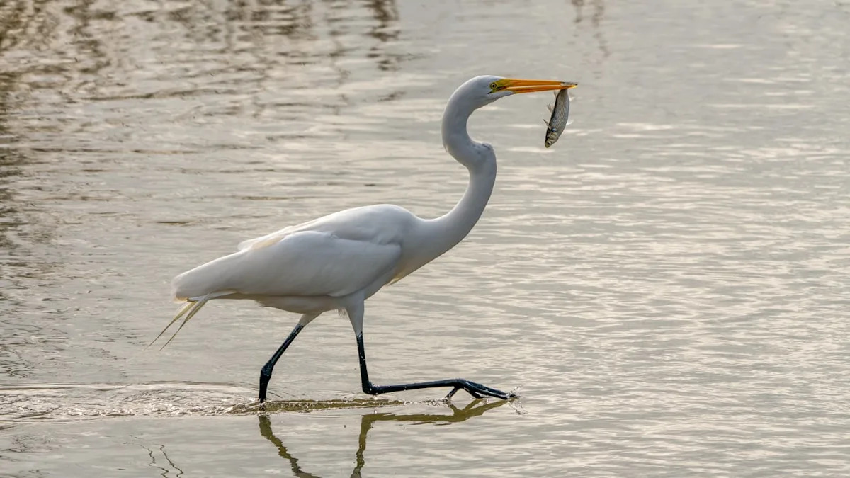 Texas Parks and Wildlife vendor data breach affects 3 million