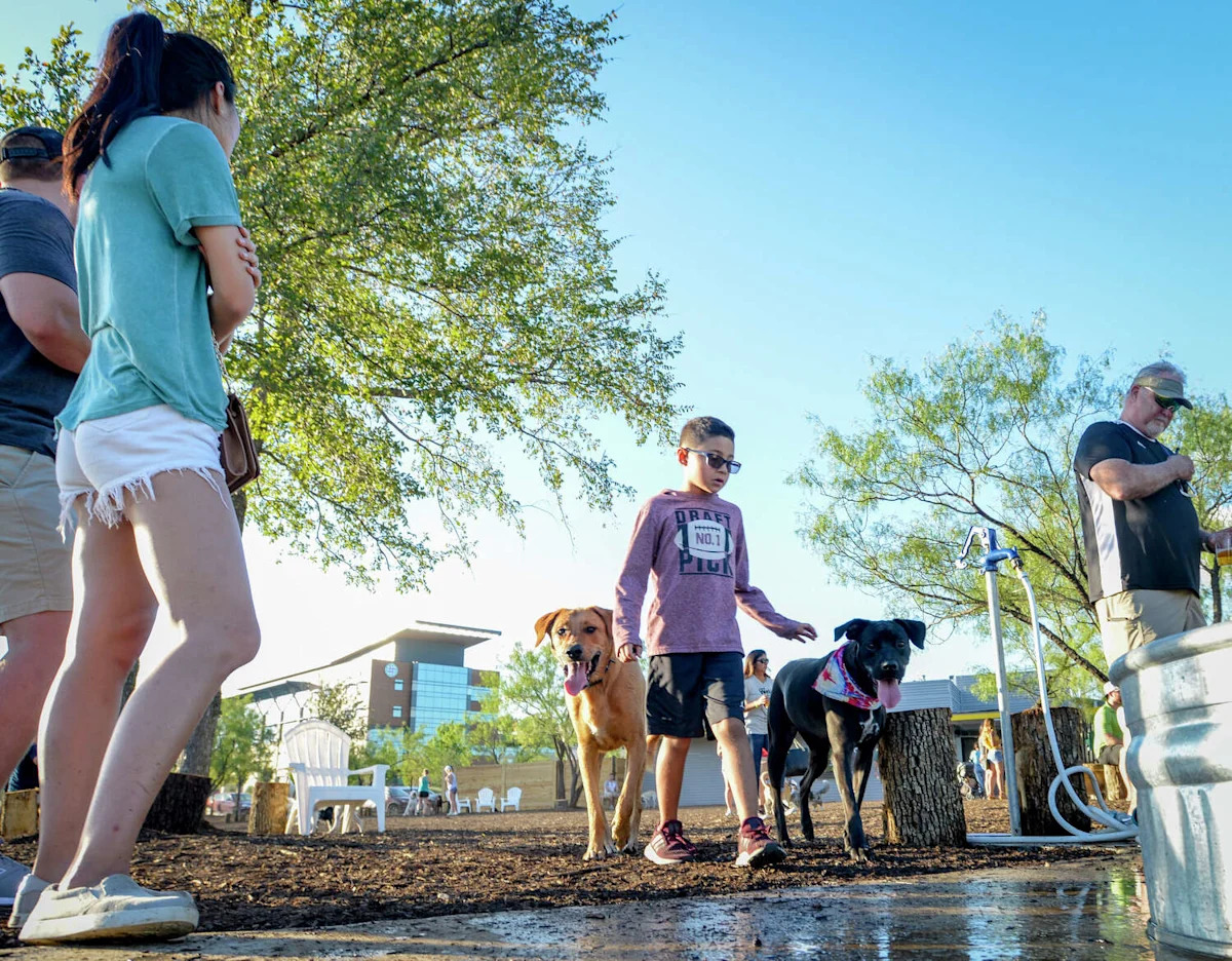Mutts Canine Cantina shuts down suddenly in Dallas-Fort Worth, reason unclear