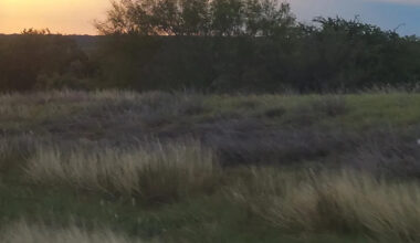 'Trying to take advantage of country bumpkins': Texas counties say they can't stop 248 planned data centers