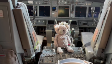 American Airlines reunites Fort Worth boy with lost teddy bear – NBC 5 Dallas-Fort Worth