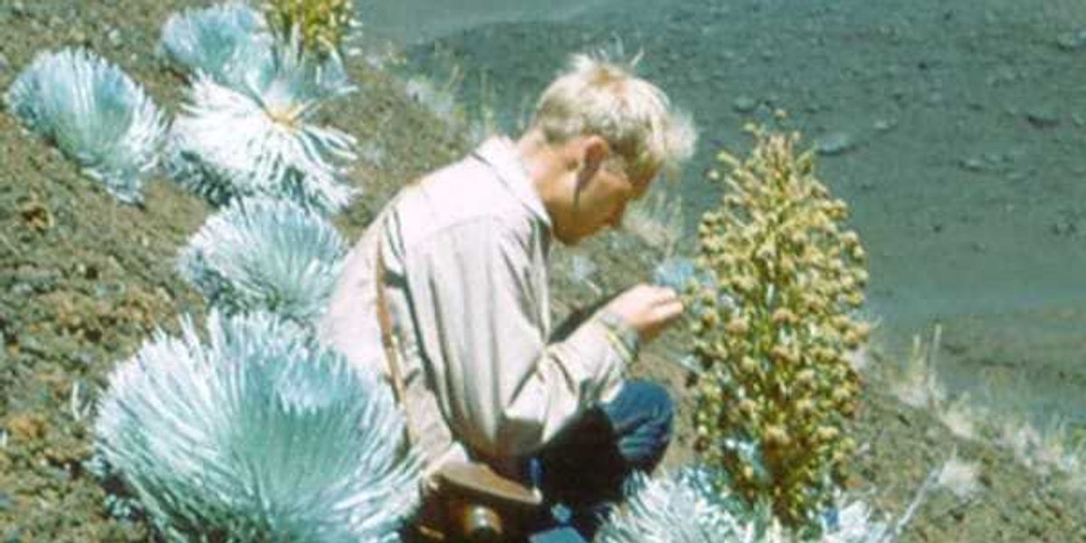 Botanical Research Institute of Texas presents "Expeditions through the Lens: Botanical Photographs of Sherwin Carlquist"
