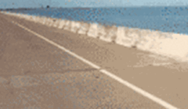 VIDEO: Butterfly swarm hits Texas highway
