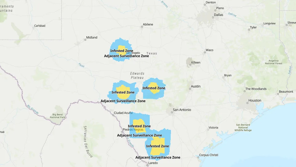 <div>TAHC infested and surveillance zones as of June 13, 2026</div>