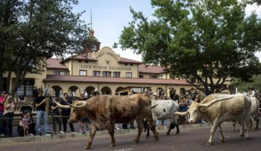 Legal battles aren’t stopping the development train in the Fort Worth Stockyards