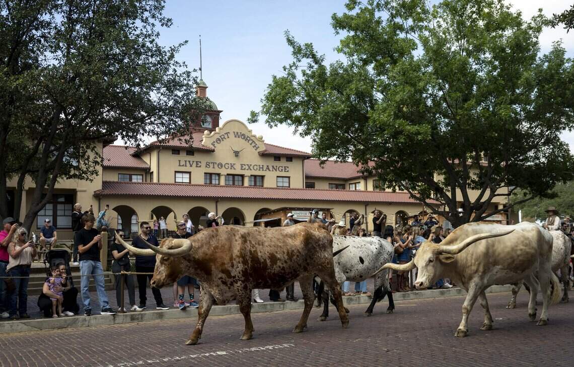 Legal battles aren’t stopping the development train in the Fort Worth Stockyards